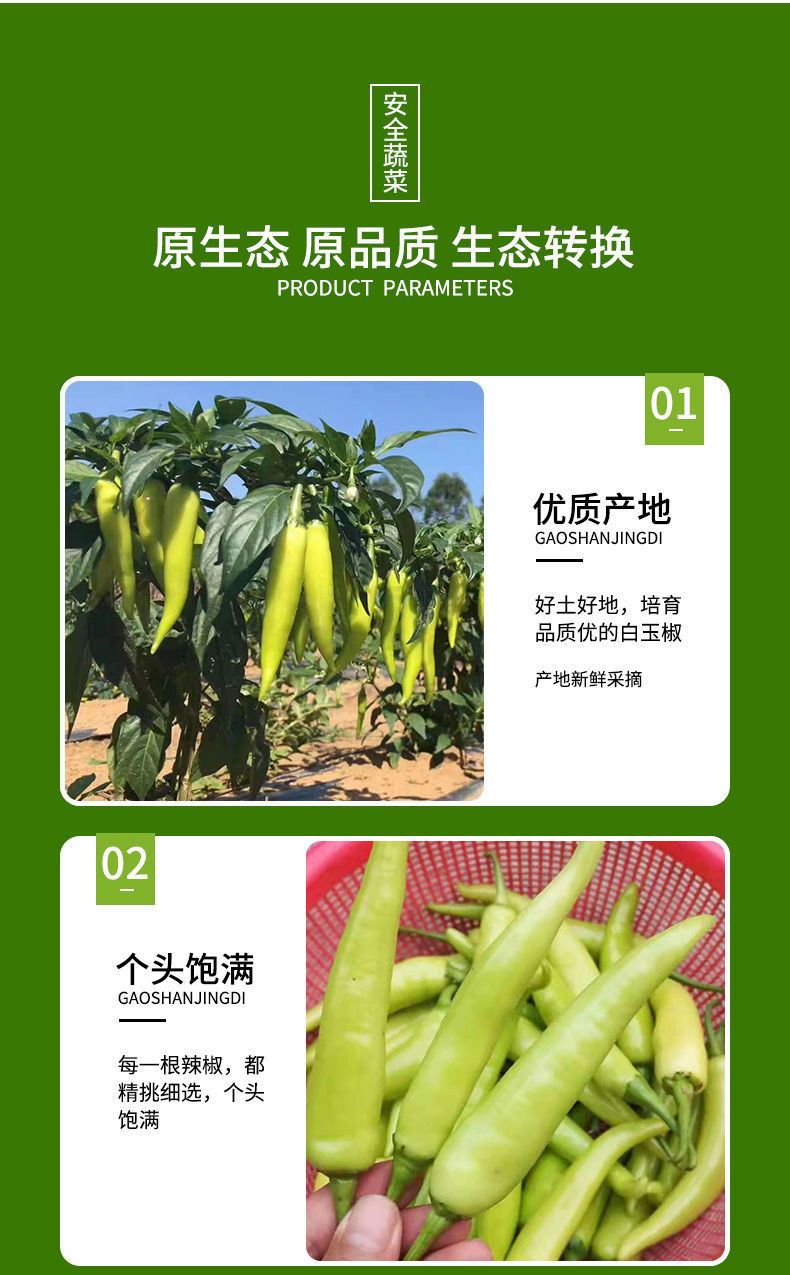 腌制泡椒 1斤 白皮辣椒尖椒 蔬菜微辣 3斤装【图片 价格 品牌 报价】