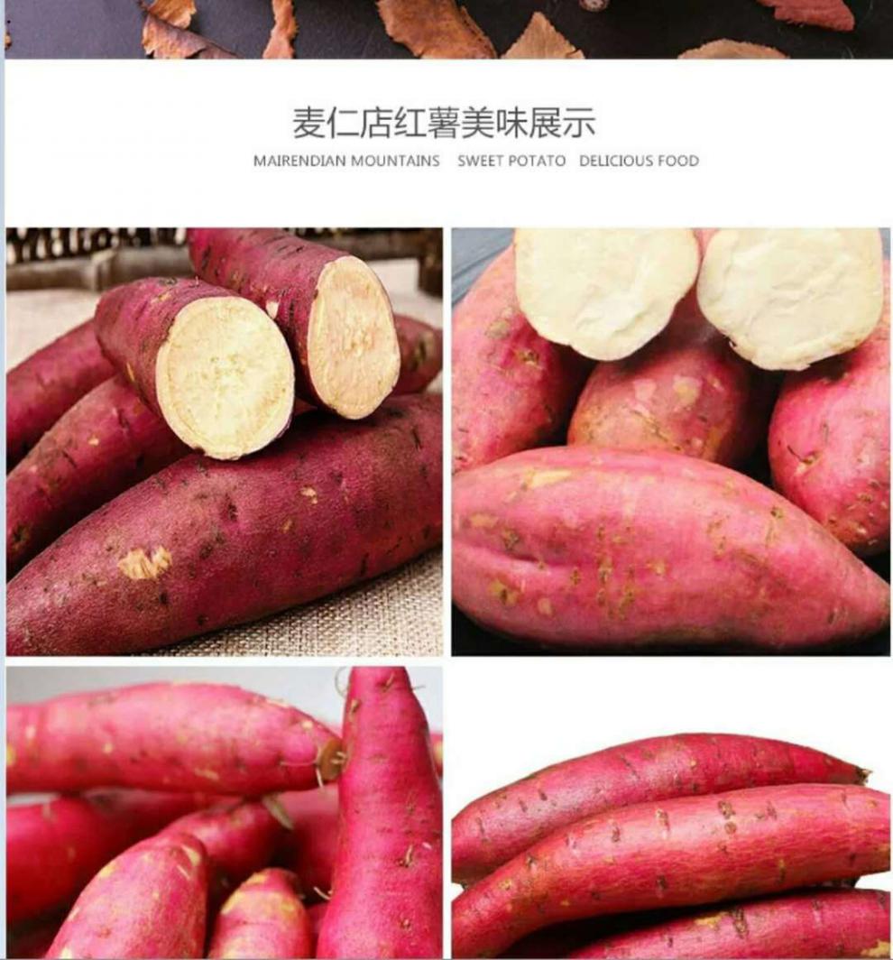 现挖现发新鲜红皮白心红薯农家板栗薯白心板栗红薯地瓜10斤净重9斤