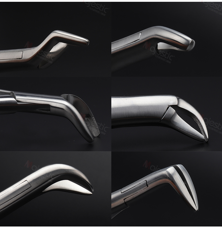 牙科工具成人拔牙钳上下颌残根智齿磨牙神器牛角钳子口腔器械材料 fig