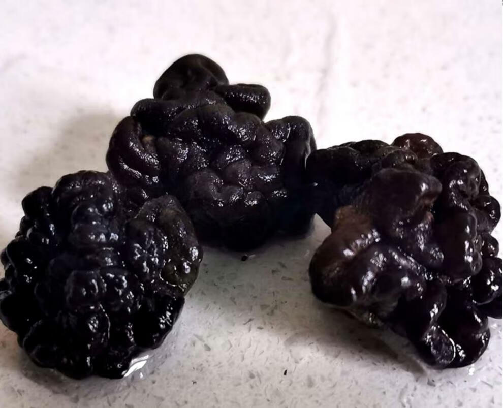 精选猴脑菌干货核桃菌黑球菌疙瘩海参菌玛卡菌干货500g【图片 价格