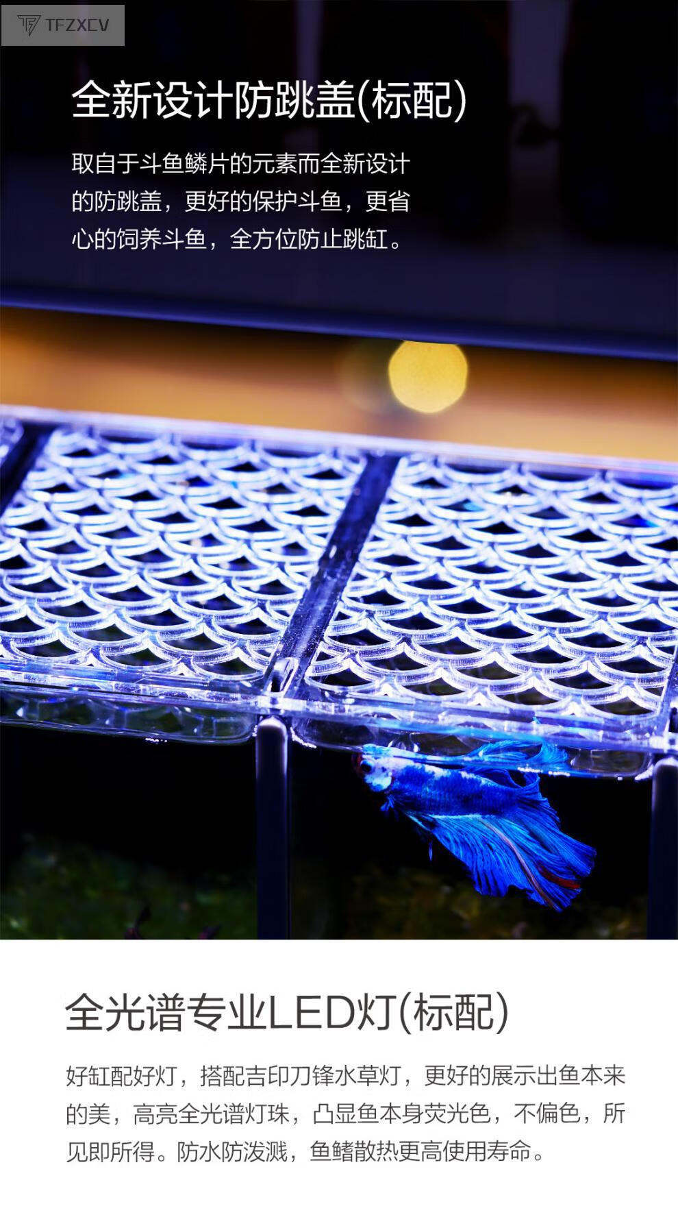 斗鱼缸多格泰国斗鱼缸组合排缸多格月光水母斗鱼一体式桌面创意家居