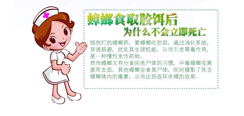 广东昆虫蟑螂清灭蟑螂药粉杀大蟑螂德国小蠊家用全窝端10袋蟑螂清