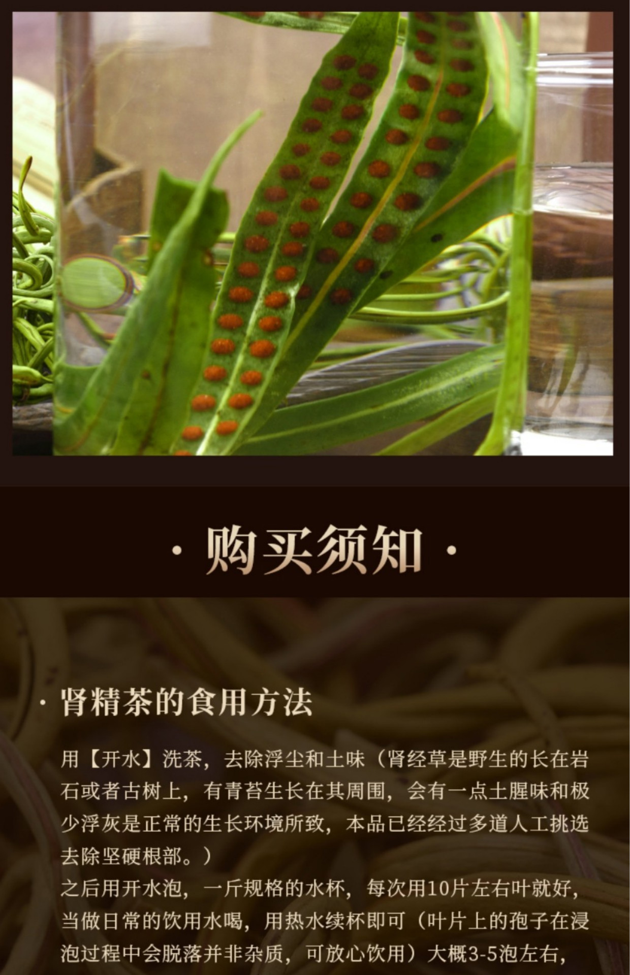 晓楚仁官方直售长白山野生肾精茶猫须草结石老挝肾精草男性调理草调化