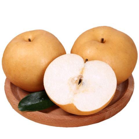 正宗丰水梨黄皮梨脆甜多汁子薄皮梨绿色水果新鲜现摘冰糖梨带箱5斤