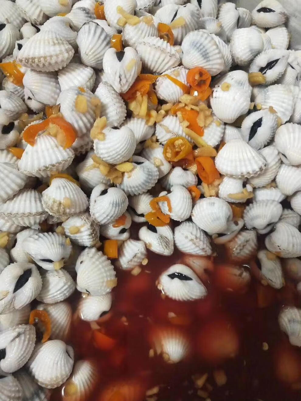 锦蜜姬 新鲜血蛤海捕自然生长血蛤正宗银蚶非毛蚶 高压清洗发货 加大