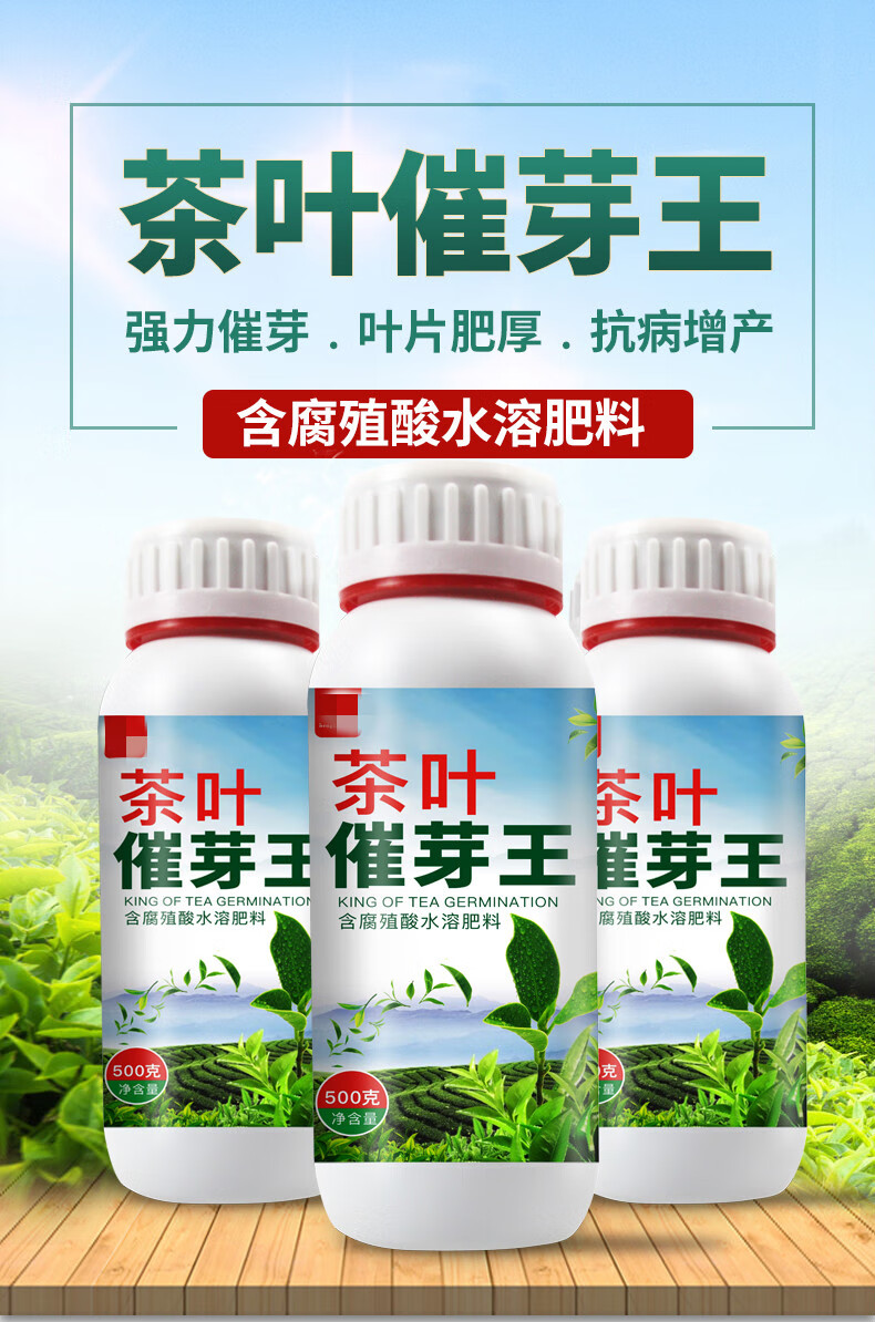 茶叶茶树专用叶面肥催芽剂催芽素多芽嫩芽暴芽素增产促芽素发芽素