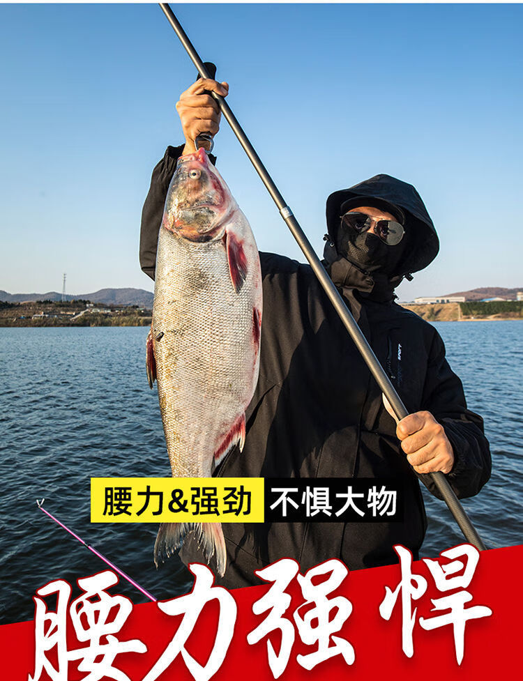 钓鱼王霸王悍鱼竿高碳素长节鱼竿手竿超轻超硬19调28调台钓竿钓鱼竿6h