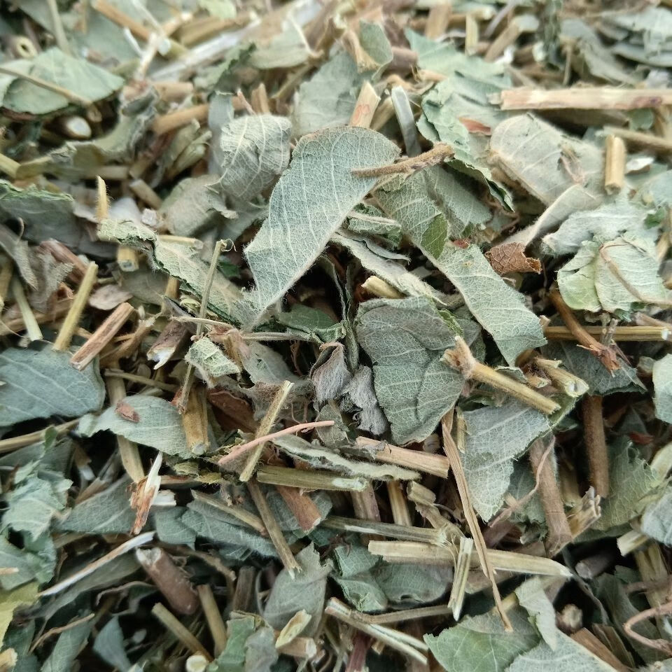 金钱草广西金钱草中草药广金钱草茶养生茶干品 金钱草-1000克【图片