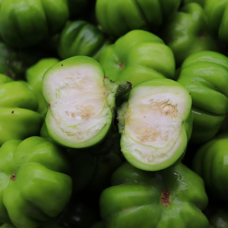 轻恋 云南德宏特色苦子果 苦味香浓 野生野菜酸汤苦
