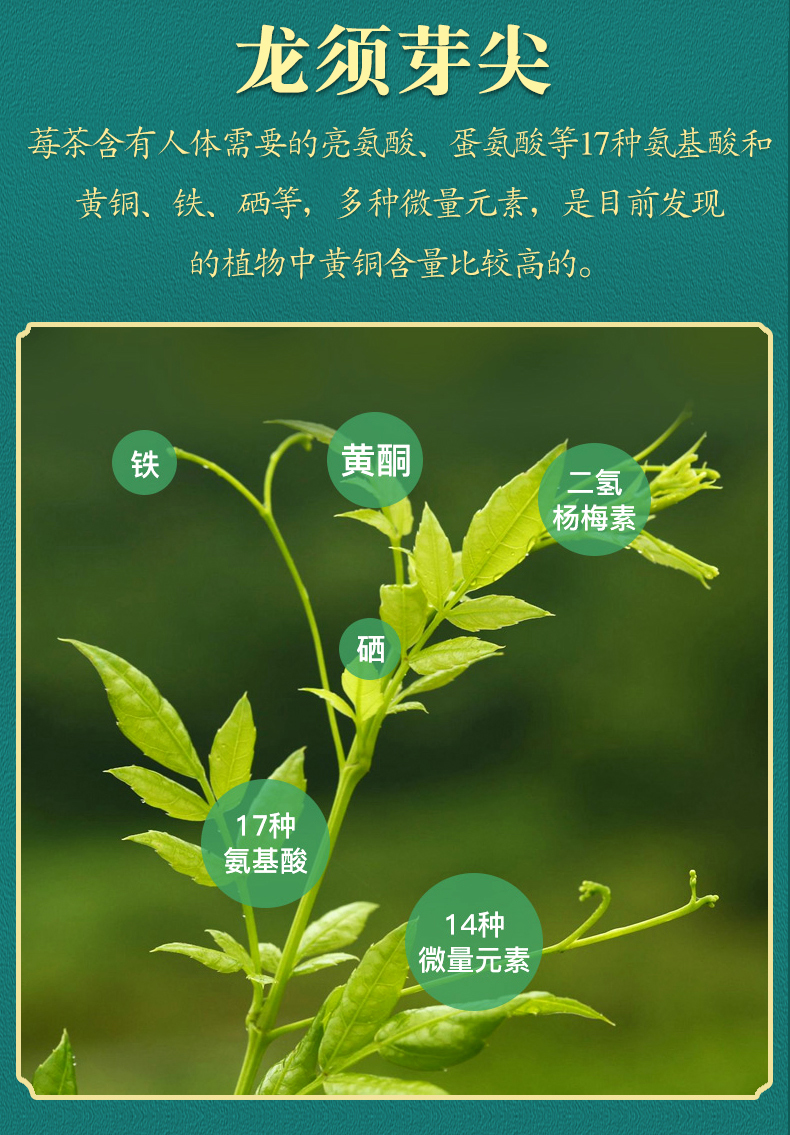 5折莓茶张家界芽尖湘永顺龙须青安霉茶非野生茅岩特产恩施藤茶1发3罐