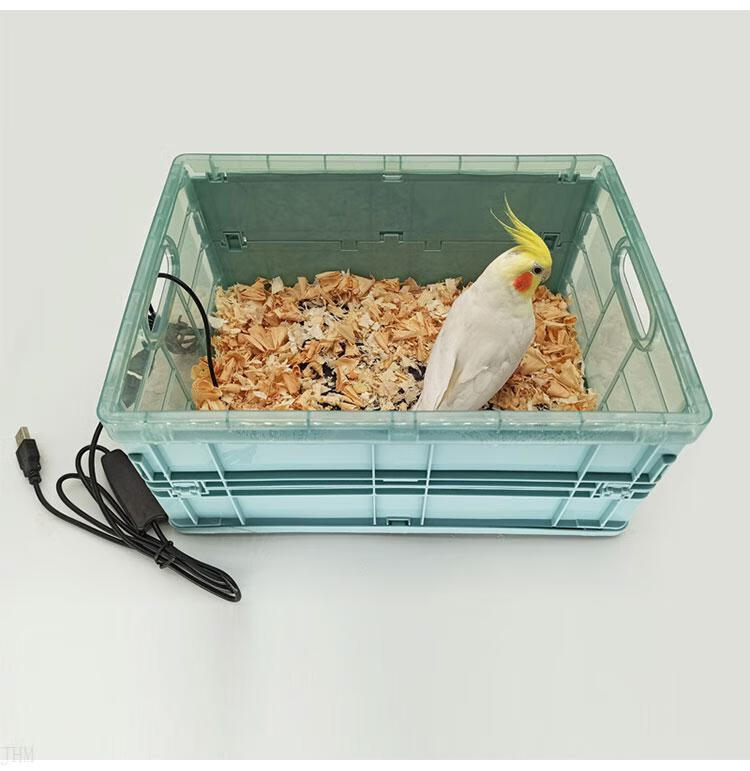 玄凤雏鸟保温箱美观 鹦鹉保温箱雏鸟幼鸟孵化手养鸟保温盒保暖箱小中