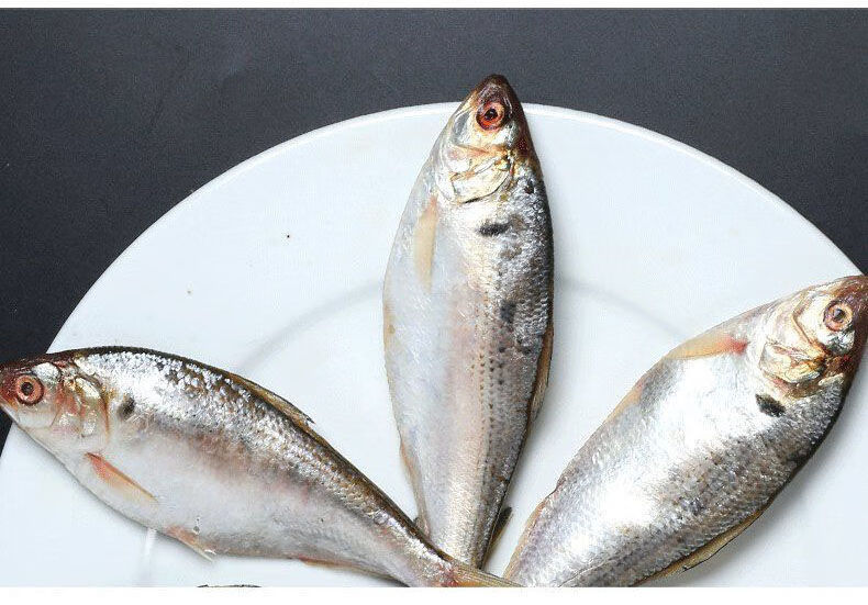 船冻保鲜海鲫鱼黄翅鱼海鱼生鲜鱼海鲜水产鲫鱼福茹洲5斤