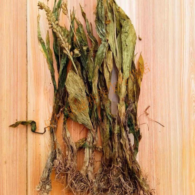 中药材新货见血清紫星羊耳蒜无硫走子草黑兰铁耙梳250g