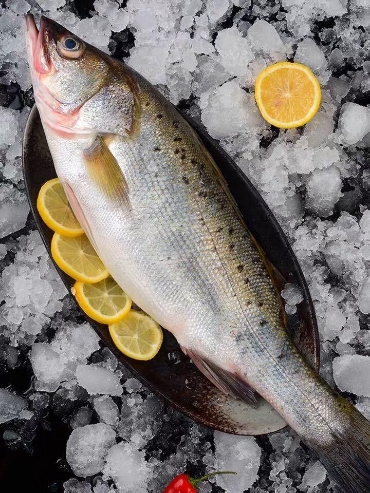 a级纯野生大海鲈鱼3斤以上条海鱼深海七星海鲈鱼海鲜水产顺丰海鲈鱼3