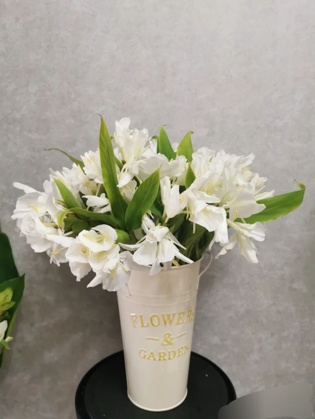 *姜花鲜花蝴蝶百合睡莲水养基地直发同城速递剑兰插花