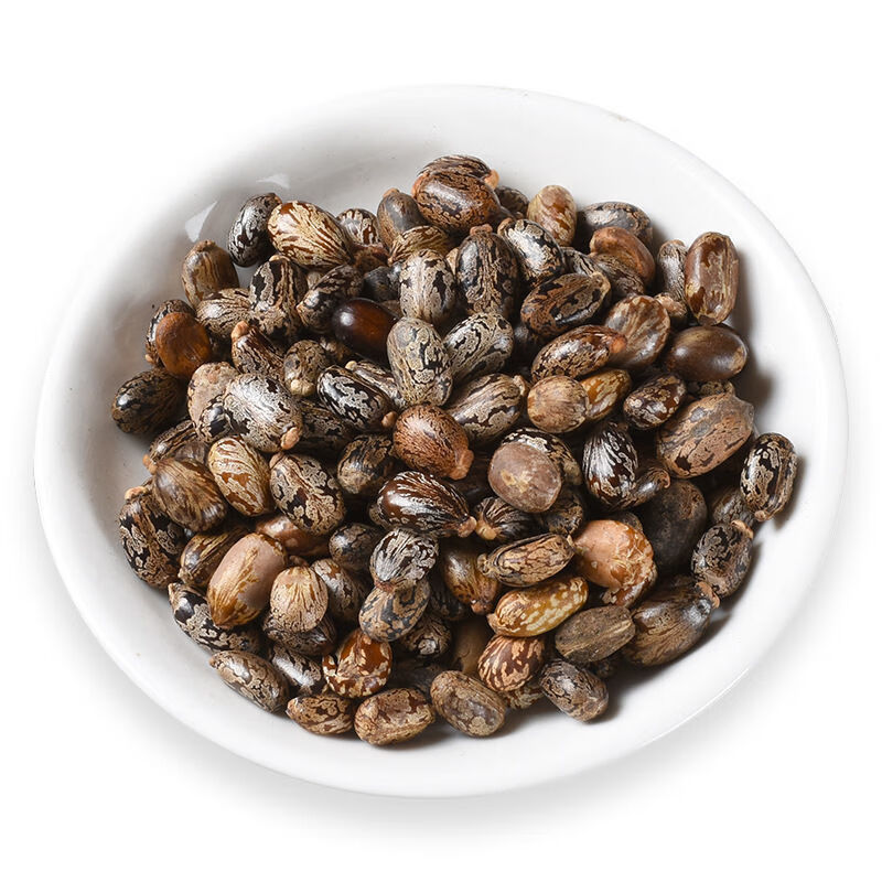 北京同仁堂原料沁心苑 红蓖麻子中药精选蓖麻子蓖麻籽种子可打粉蓖麻