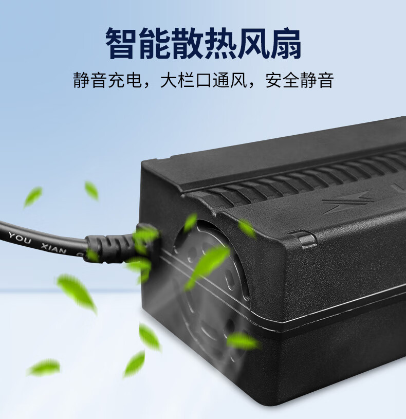 德力普 电动车锂电池充电器dc口莲花卡农口36v5a48伏银鱼海霸电瓶通用