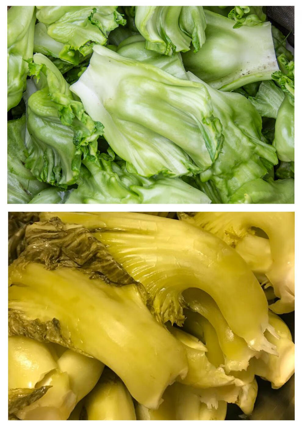 四川奶奶菜 包包泡青菜芥菜梗青菜邦 2斤青菜梗【图片 价格 品牌 报价