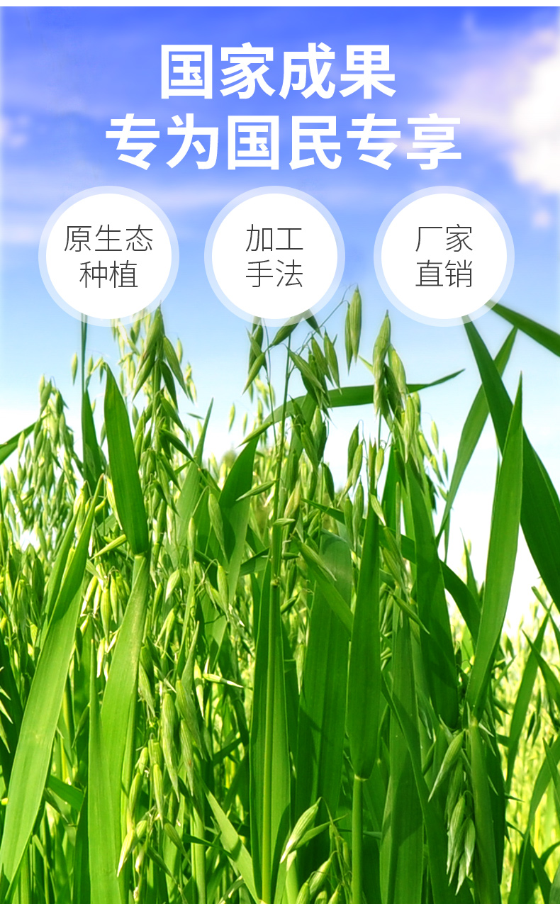 【新品】世壮燕麦米500g*3盒 1050g【图片 价格 品牌 报价】-京东