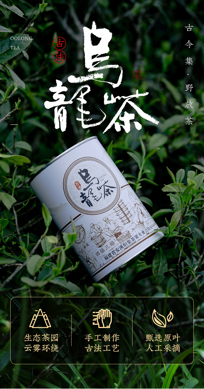 2021新茶正宗茶叶特级浓香古法乌龙茶散装春野茶兰花香400g
