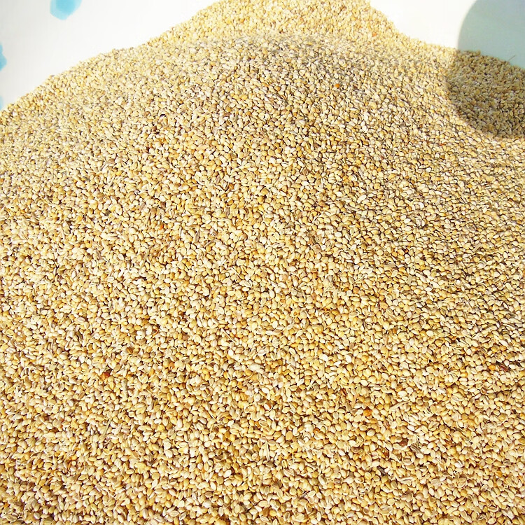 秕谷谷壳黍子荞麦壳秕谷子带枕芯皮谷秕子糠壳瘪谷子枕头 定制 高粱壳