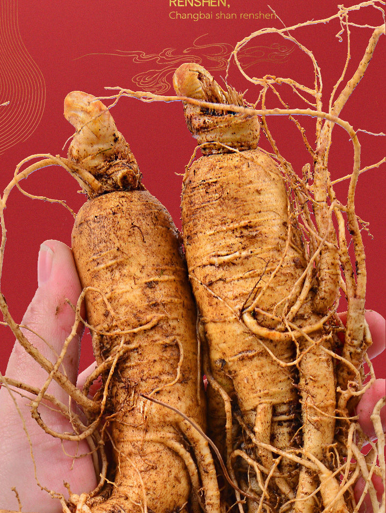 带土大鲜参吉林通化林下野山参长白山人参东北特产810年2支100克大号