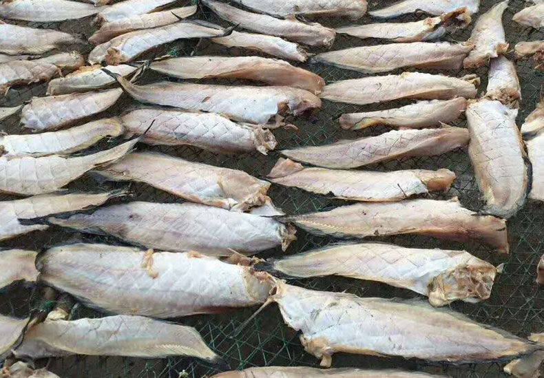 威海渔家自晒海兔子鱼干老冷干大马哈鱼干整条大2份500g