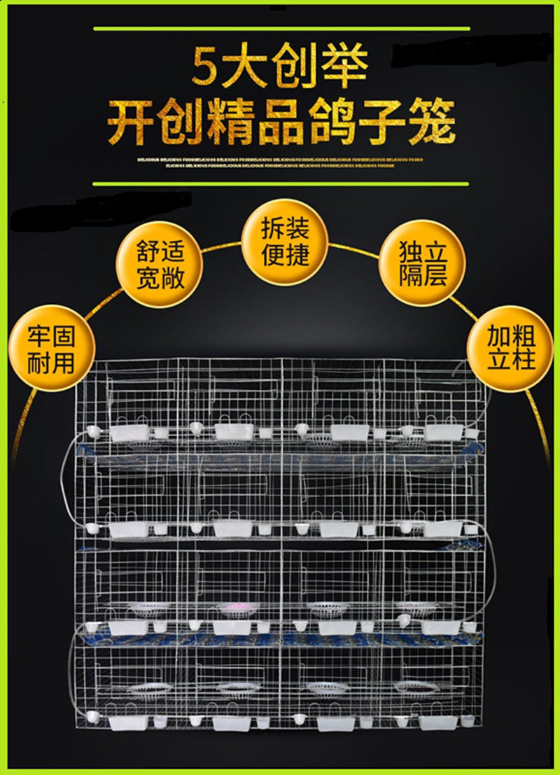 【官方旗舰】16位肉鸽养殖笼12位种鸽子繁殖笼大号配对鸽笼鸽子笼子
