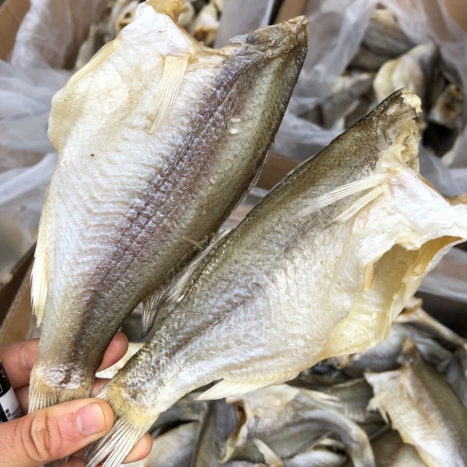 海鲈鱼干 广东特产渔家自晒鲈鱼干海鲈鱼干腌制海鲜干货黄花鱼咸鱼干