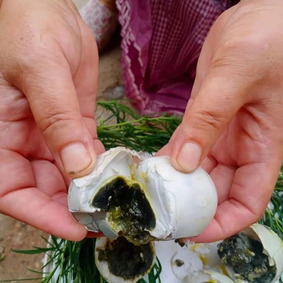 臭咸鸡蛋农家臭鸭蛋咸鸭臭蛋海鸭蛋臭蛋熟臭鸭蛋小