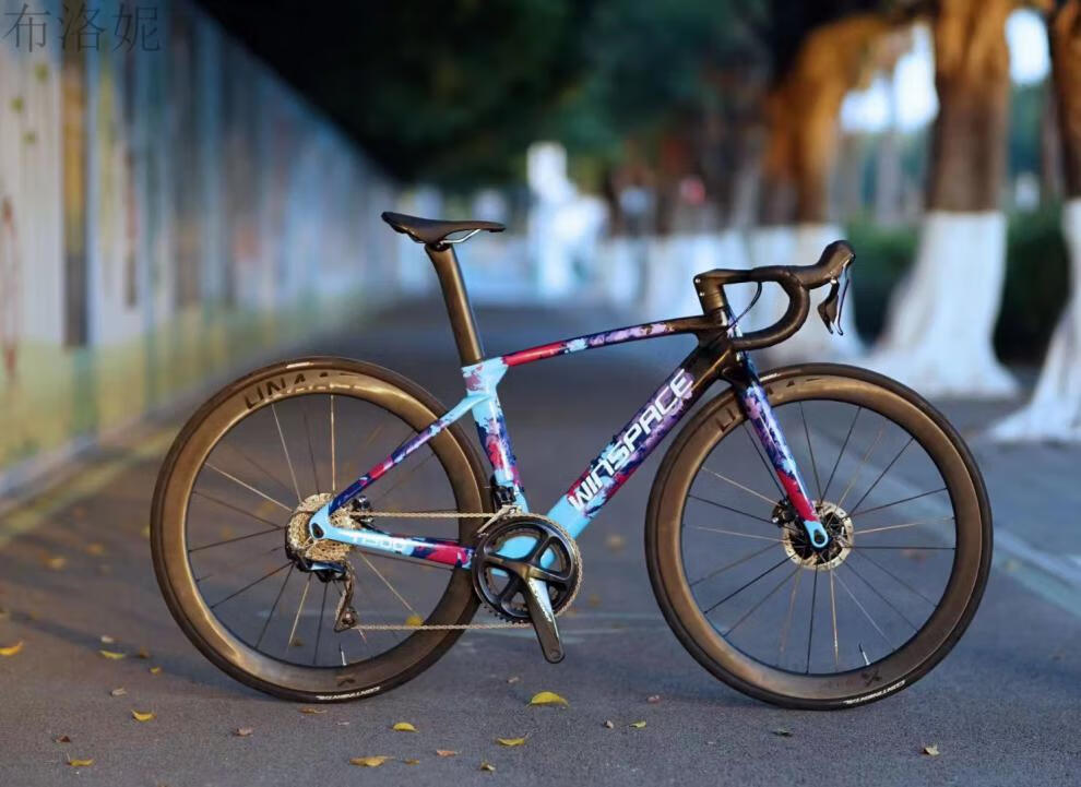 银贝斯公路车d 银贝斯公路碟刹 碳纤维车架组 全内走 可选配一体把 t