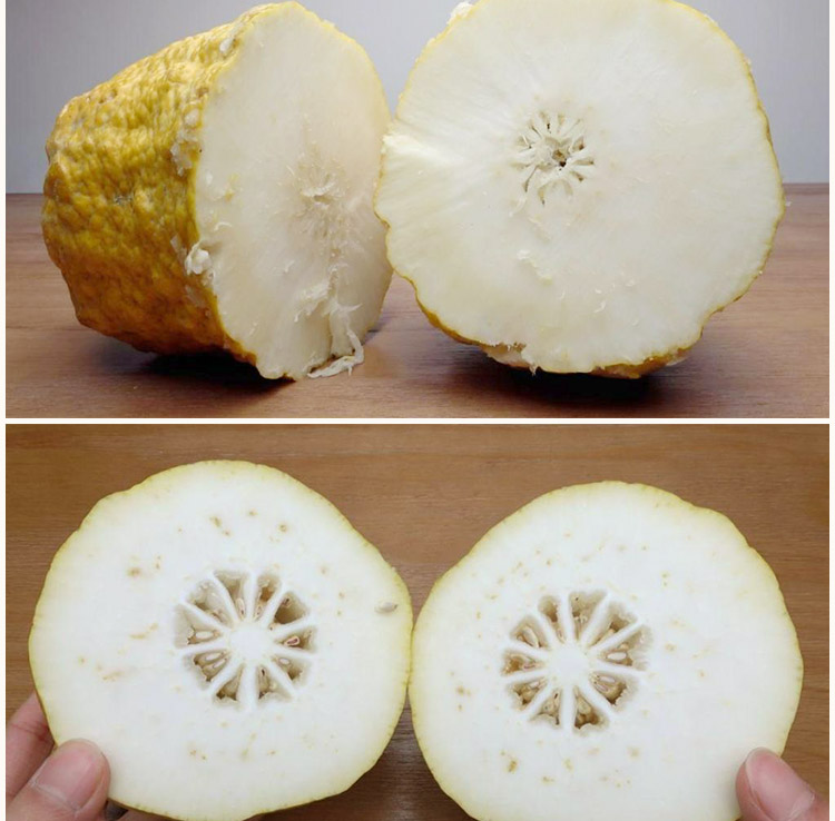 云南新鲜香橼果香缘佛手柑农家水果可食用佛手老香橼枸橼枸橼子水果