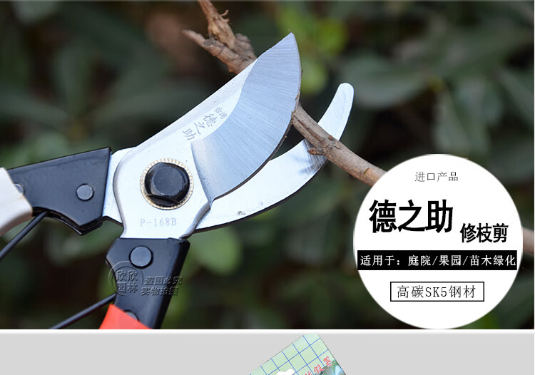 德之助修枝剪果树剪园艺剪刀修枝剪刀花剪树枝果树园林剪刀德之助168