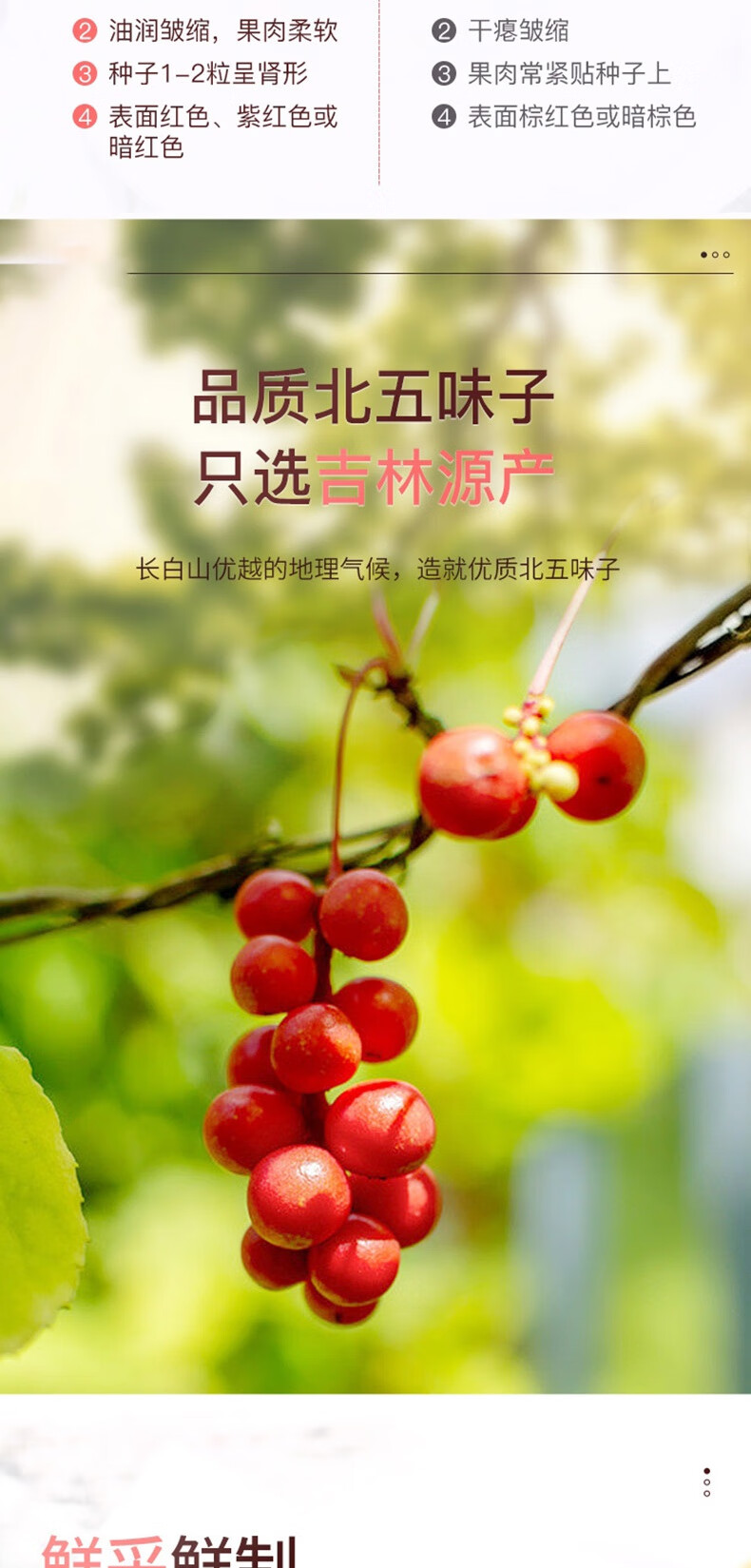 硒芽五梅零食北五味子硒芽五梅茶500克干货麦芽梅子泡茶中材