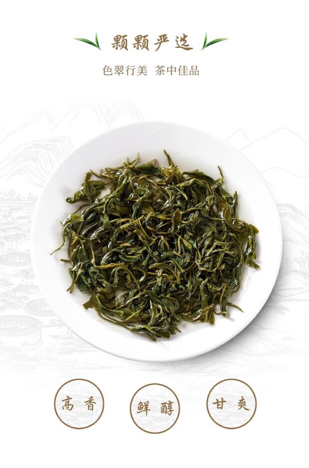 河源紫金绿茶 500g 广东河源高山云雾龙窝客家农家茶叶炒青浓香型 250