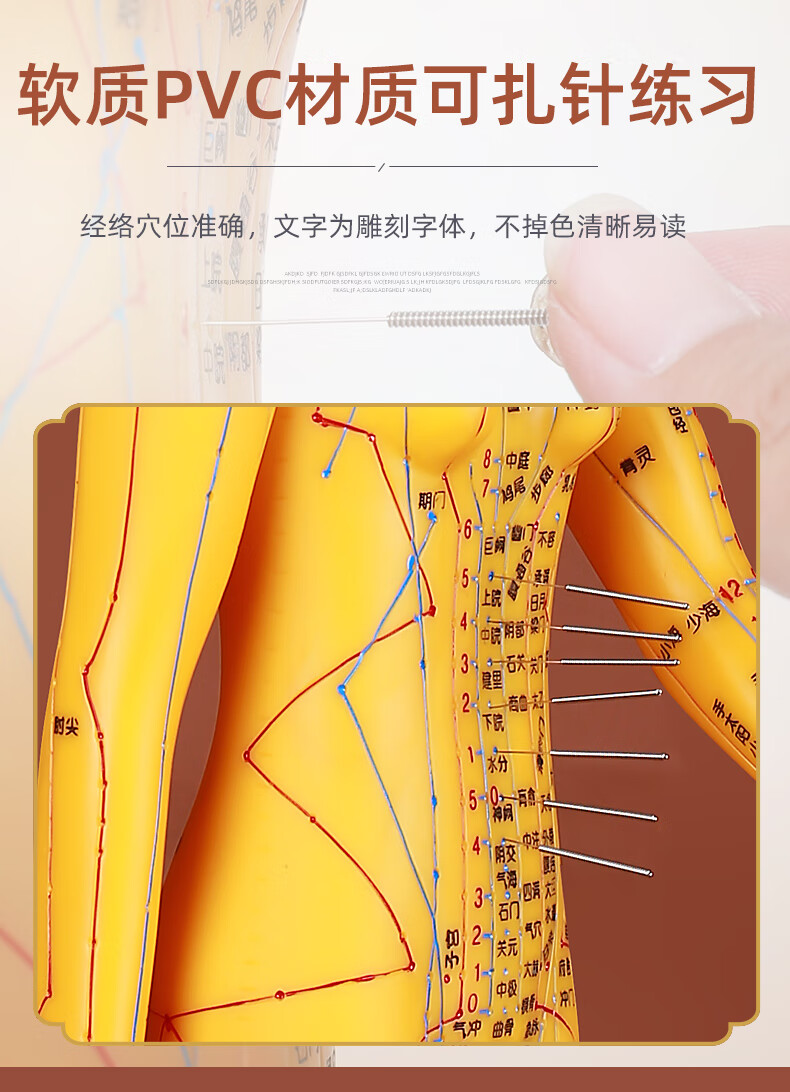 人体模型经络通穴位男女刻字全身中医针灸按摩教学医学小铜人家用yz