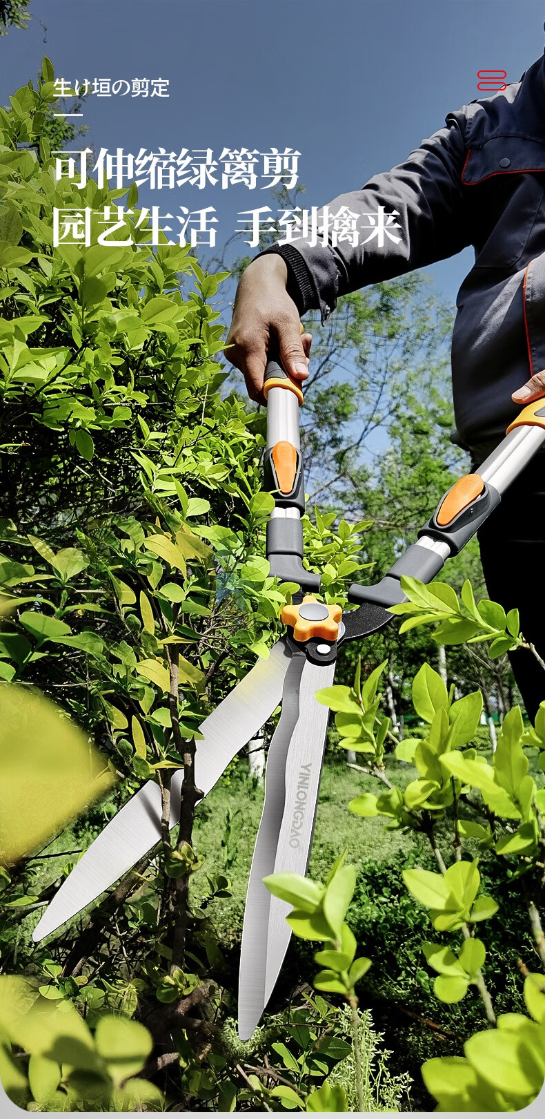 园林绿化园艺剪刀省力花木修花树木修剪树枝绿篱专用修枝剪篱笆大