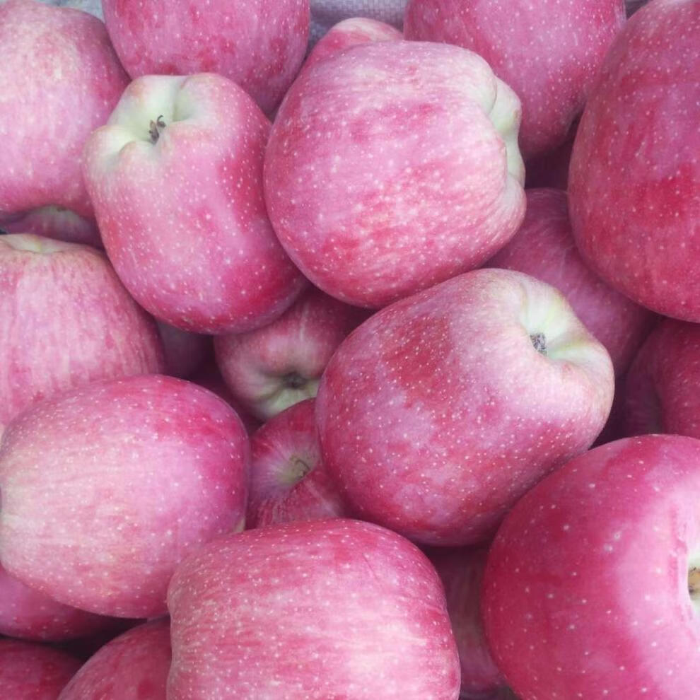 红星苹果红香蕉带香味粉面苹果适合老年人吃新鲜当季组合装红星梨各