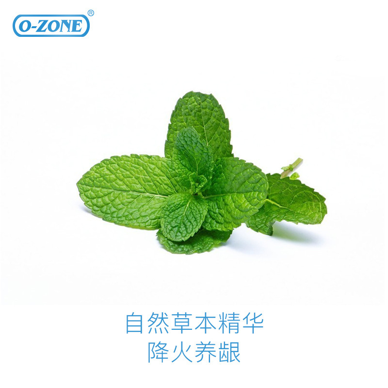 韩国进口ozone欧志姆薄荷新牙膏100g口腔异味
