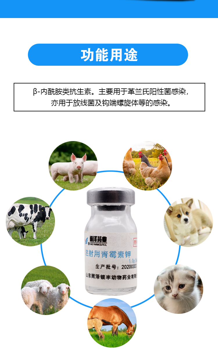 兽药牛羊专用注射用青霉素钾兽用青霉素160万猪观赏鱼消炎药 160万钾*