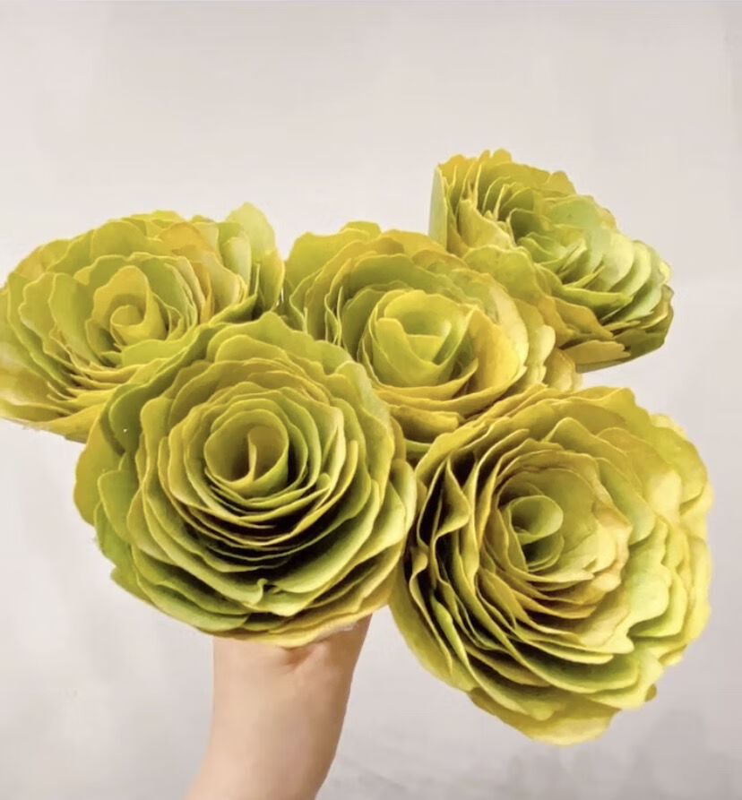 上新银杏树叶 新鲜树叶天然花手工 抖音玫瑰花 真树叶 标本新品 黄叶