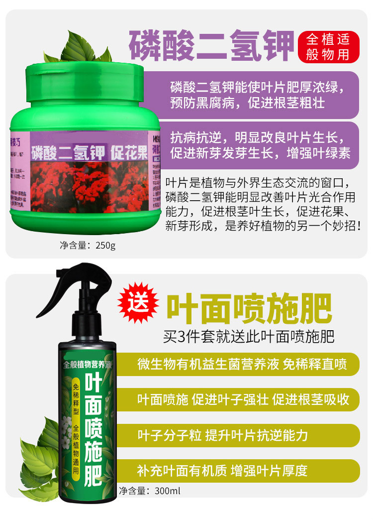 嘉宝果专用肥珍宝果肥料绿叶小硕果营养液树葡萄有机肥家庭四季肥享动