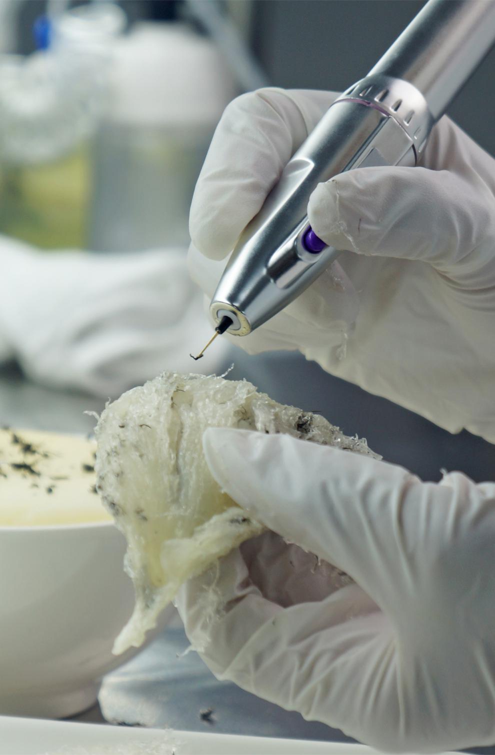 燕窝挑毛神器电动燕窝挑毛笔自动挑毛工具燕窝挑毛神器告别镊子百顺