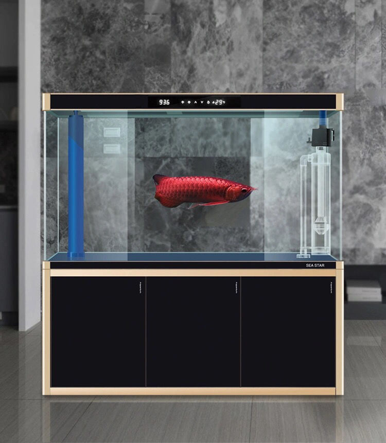 鱼缸鱼马桶新款粪便收集器高清吸便器养小鱼的用户好想好鱼马桶50厘米