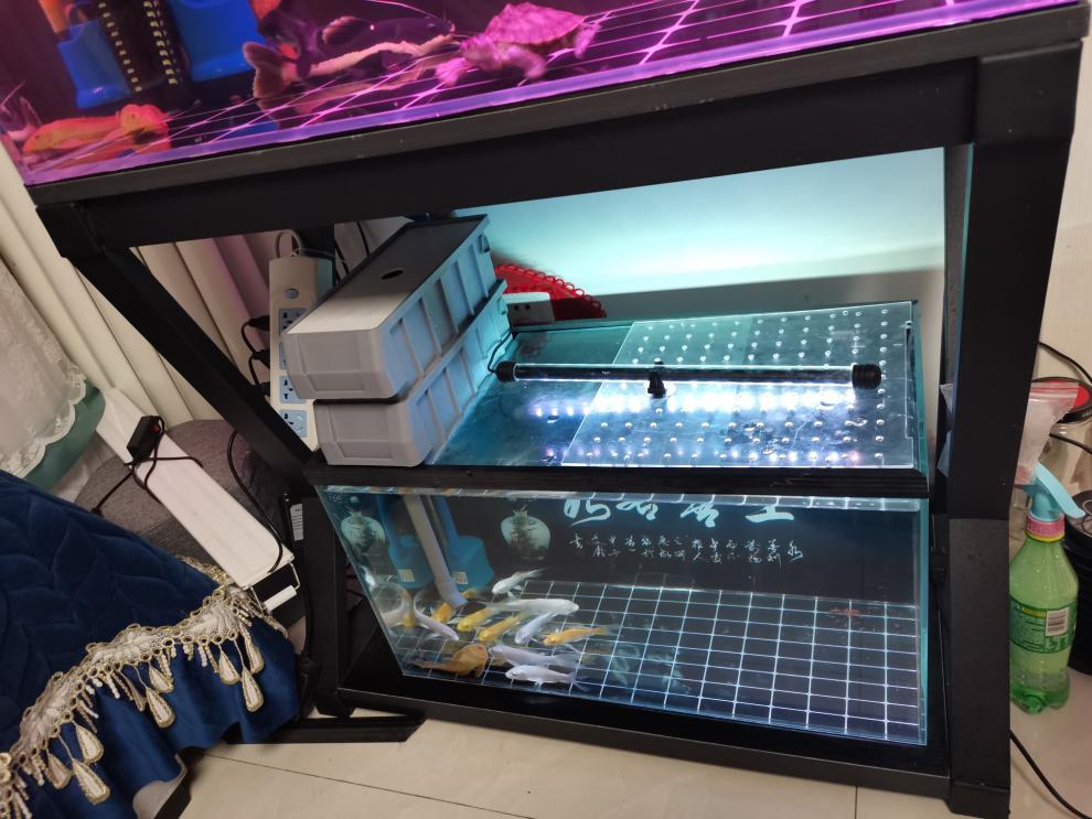 周转箱过滤盒 鱼缸上滤 送托架过滤 免换水过滤器 50厘米两层套餐