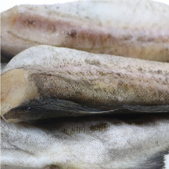 鳕鱼新鲜冷冻无头鱼狭鳕鱼去头明太鱼大棒鱼柴鱼海鲜水产深海鳕鱼一斤