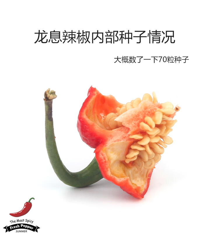 龙息辣椒1g龙息辣椒dragonsbreath英国辣椒中的战斗机入鲜辣椒1g