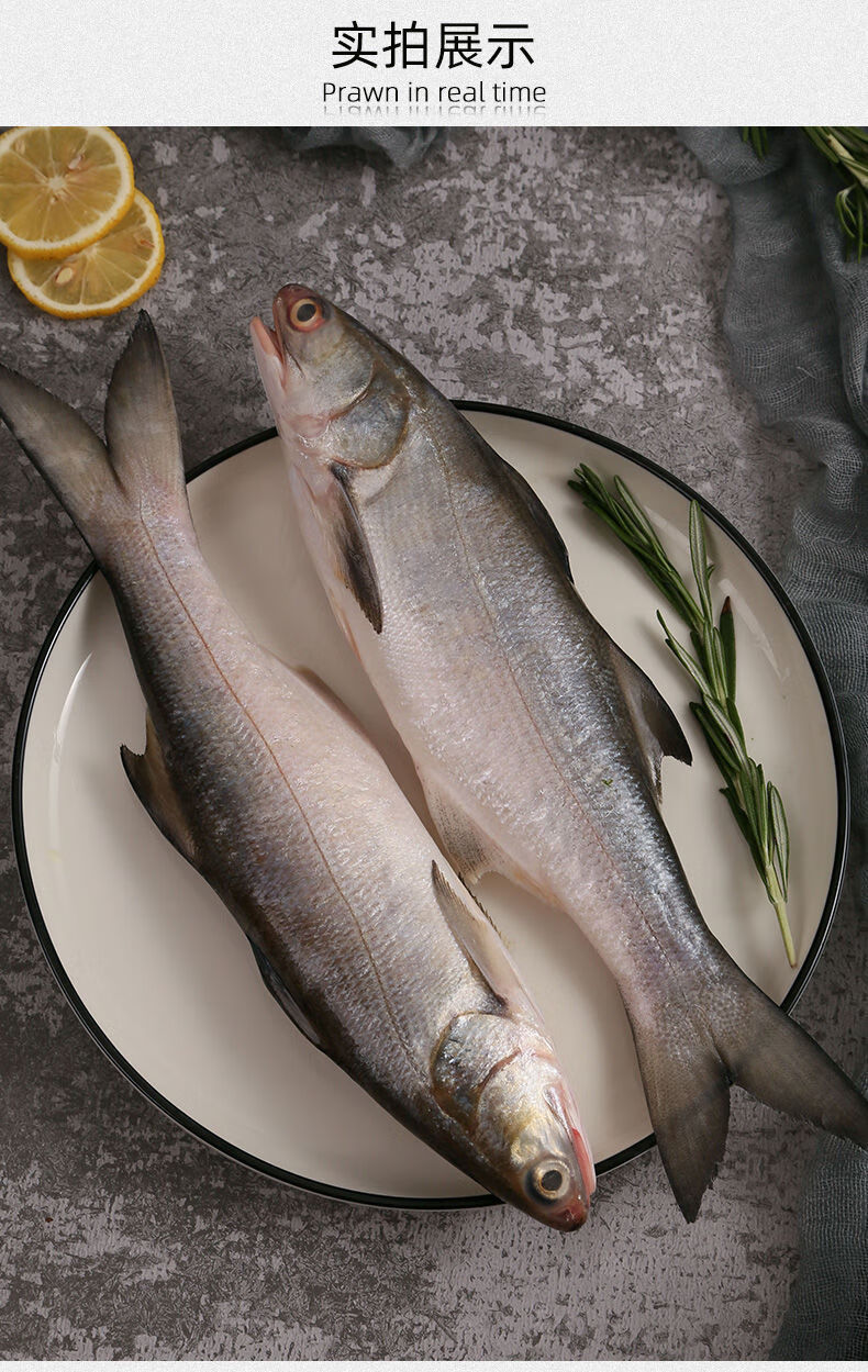 福建大午鱼新鲜野生马友鱼冷冻生鲜海鲜水产特大竹午笋鱼顺丰鲸洋野生