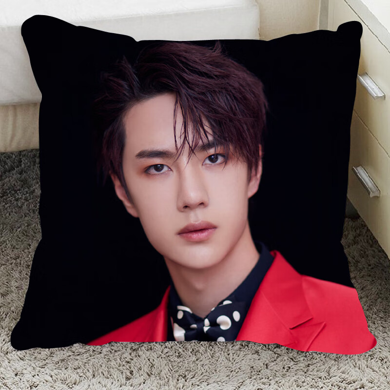 九鹿美兮王一博周边抱枕陈情令蓝忘机双面定制同款人形玩偶公仔靠枕头