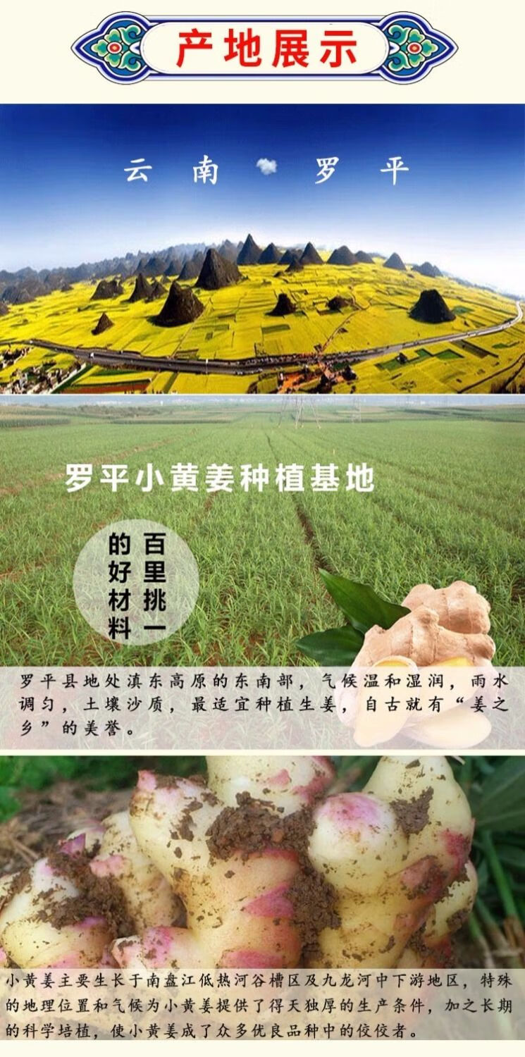 云南小黄姜粉干姜粉食用生姜粉特级纯姜粉老姜粉原始点泡水喝250克